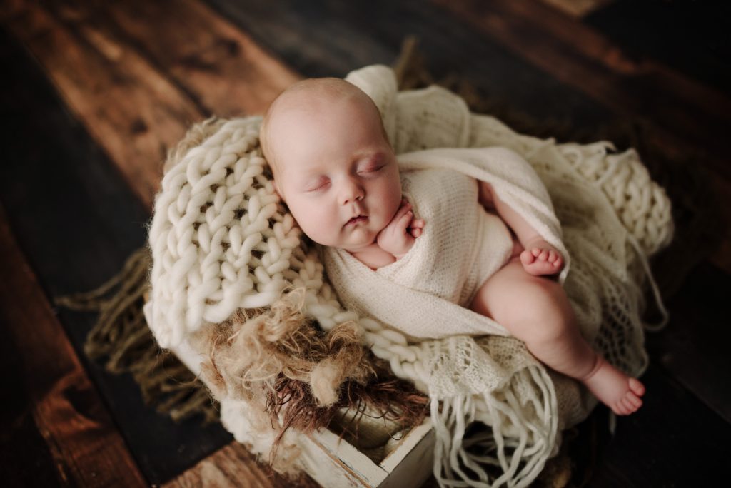 Viroqua Wisconsin Newborn Photographer