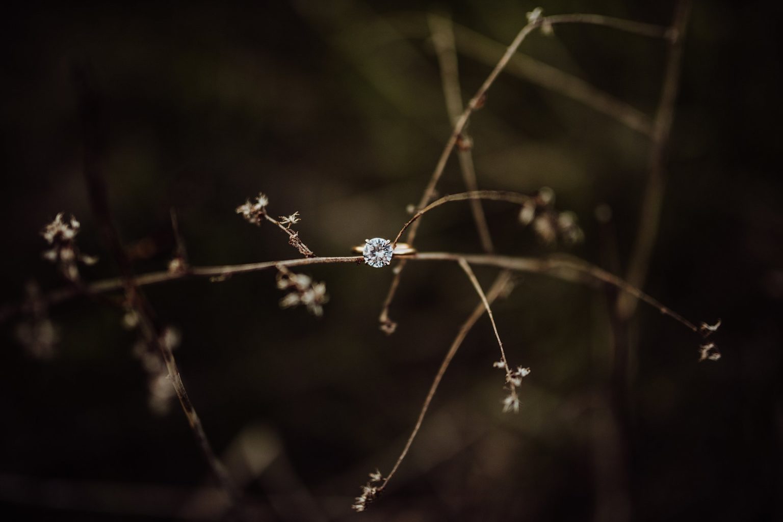 Wisconsin Ridgetop Engagement Photos » Brittany Eitsert Photography ...