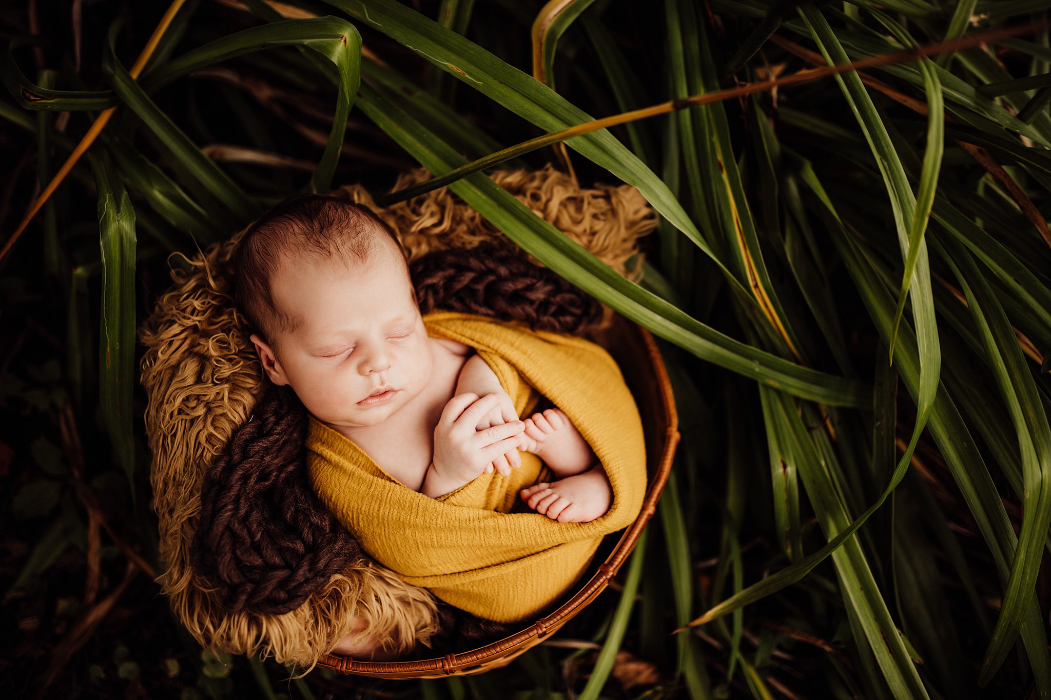 Baby Boy Outdoor Newborn Photos